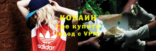 ПСИЛОЦИБИНОВЫЕ ГРИБЫ Алзамай