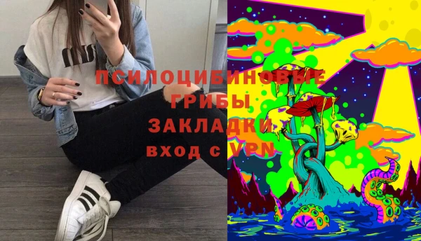 ПСИЛОЦИБИНОВЫЕ ГРИБЫ Алзамай