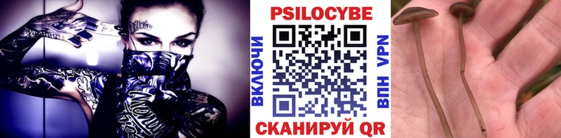 Галлюциногенные грибы Magic Shrooms Гагарин