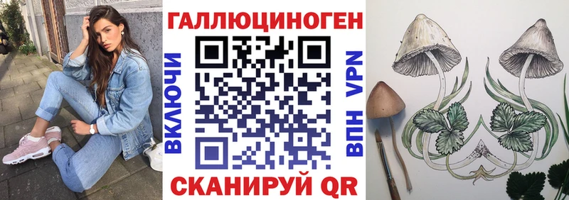 MEGA зеркало  Гагарин  Псилоцибиновые грибы Magic Shrooms 